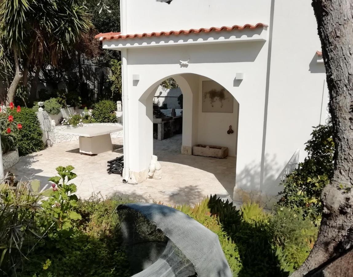B&B L'Altare Bianco Vieste Kültér fotó