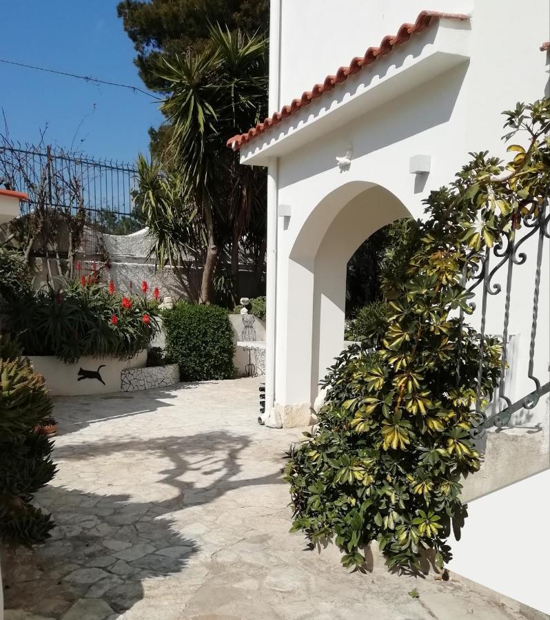 B&B L'Altare Bianco Vieste Kültér fotó