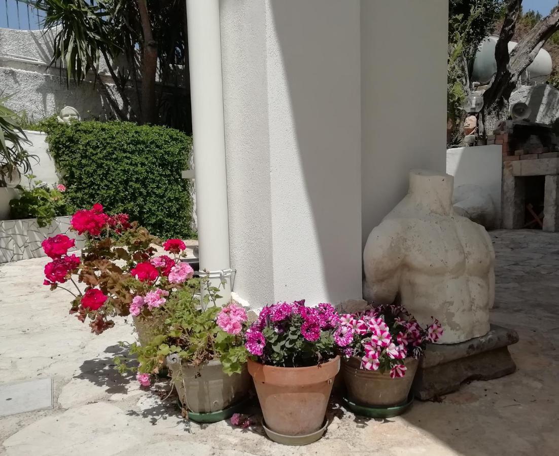 B&B L'Altare Bianco Vieste Kültér fotó