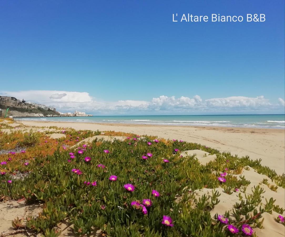 B&B L'Altare Bianco Vieste Kültér fotó