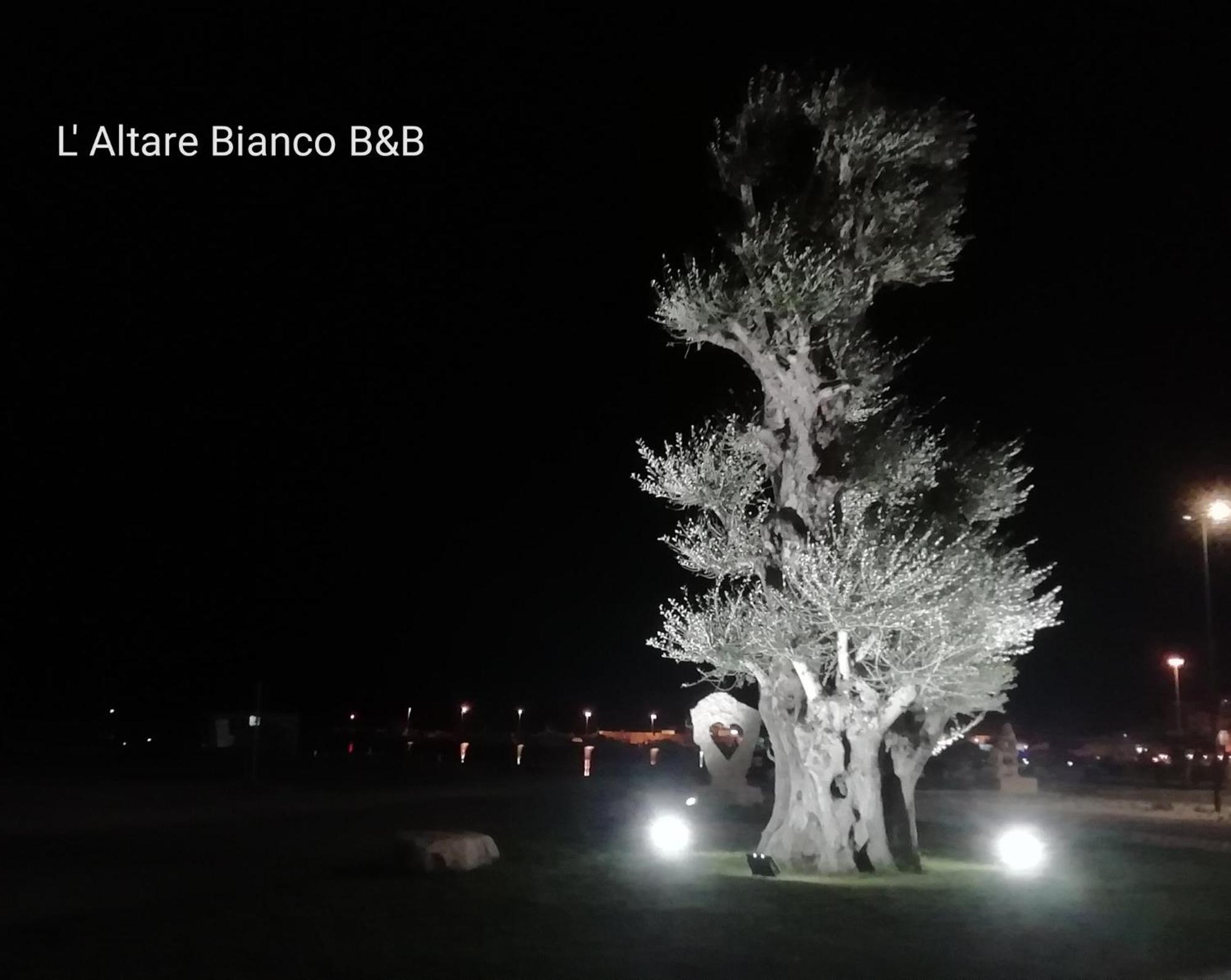B&B L'Altare Bianco Vieste Kültér fotó