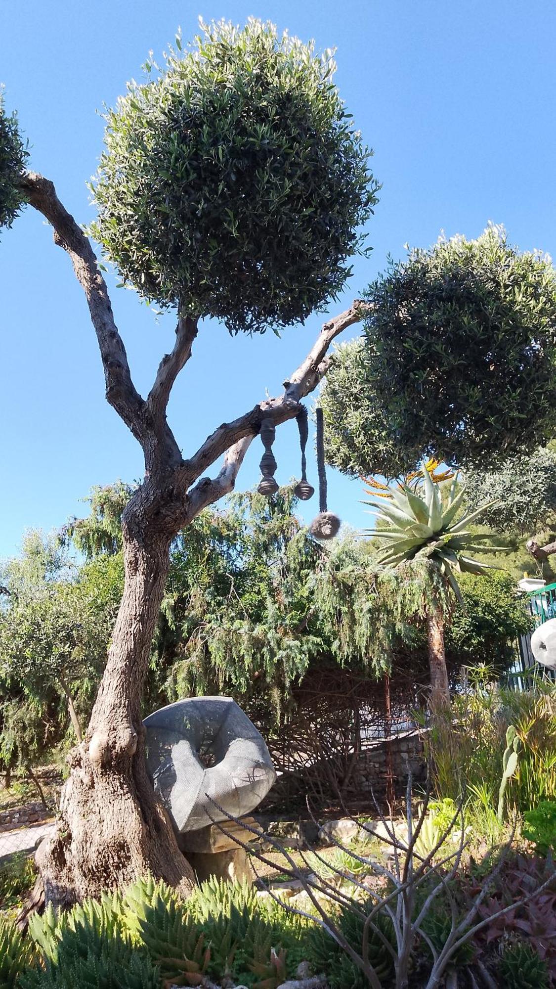 B&B L'Altare Bianco Vieste Kültér fotó